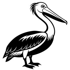 illustration of a pelican