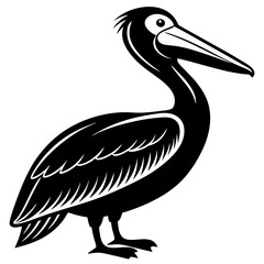 illustration of a pelican
