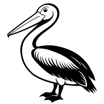 recommend clip art: Pelican icon silhouette vector art illustration