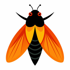 a cute Cicada vector artwork illustration