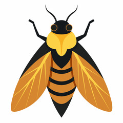 a cute Cicada vector artwork illustration