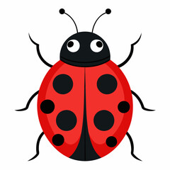  a cute ladybug vector illustration and svg