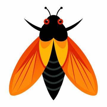 a cute Cicada vector artwork illustration