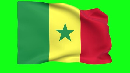 Waving flag of Senegal Animation 3D render Method