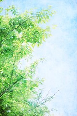 Obraz premium 空と緑の水彩画風の新緑背景 縦