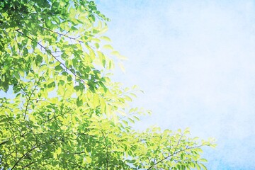 初夏イメージ空と緑の背景素材