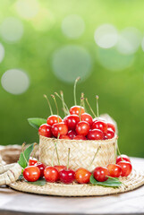 Red Cherry fruit on blurred greenery background, Red highest variety of cherries in white bowl on...