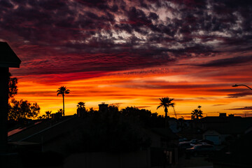 sunset in the city
