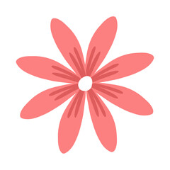 Colorful flowers illustration on white background