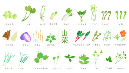 山菜26種類のイラストセット。フラットなベクターイラスト。
Illustration set of 26 types of Wild vegetables in Japan. Flat vector illustrations.