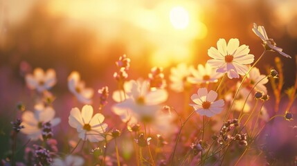 In a world filled with noise and distractions, it is important to take time to appreciate the simple pleasures and moments of beauty that surround us.