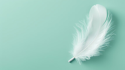 Obraz premium White feathers, copy space concept