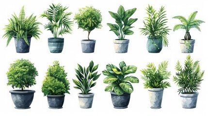 Obraz premium Set of green potted plants, various sizes and types, perfect for interior decoration, isolated on a transparent PNG background