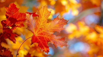 Nature's beauty is evident in the changing colors of autumn leaves, transforming forests into vibrant tapestries of red, orange, and gold.