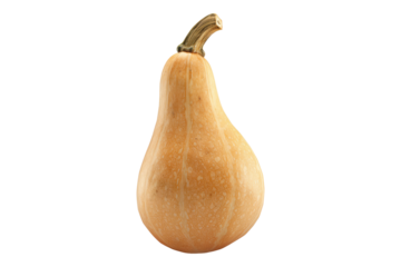 Butternut squash isolated on transparent background