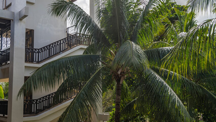 Naklejka premium Stairs with lattice railings rise to the open terraces of the building's floors. In the foreground is the crown of a palm tree with spreading green leaves. Malaysia. 