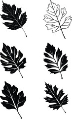 Leaf Icons and Symbols vector icons silhouettes styel with white background