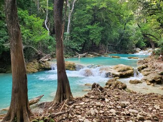 River, stream in Chiapas, Mexico, blue water in the rainforest, beautiful nature scene