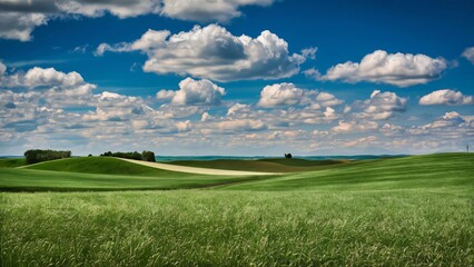 Fototapeta premium russia summer landscape - green fileds