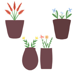 flowers in pots