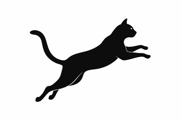 black and white cat silhouette, cat vector illustration, cats silhouette, animal silhouette isolated vector Illustration, png, cat icon