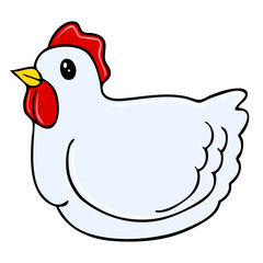 chicken vector illustration