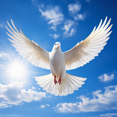 white dove flying in the sky
