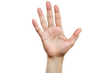 Open Hand, Palm Up, Five Fingers