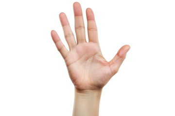 Open Hand, Palm Up, Five Fingers