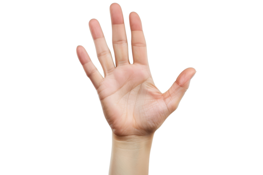 Open Hand, Palm Up, Five Fingers