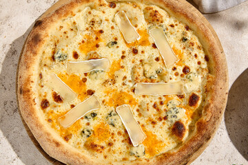 Four Cheese Pizza in Summer Sunlight with Playful Shadows