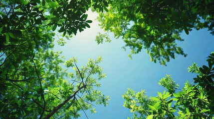 Green nature under a beautiful clear sky offers a serene and picturesque scene.
