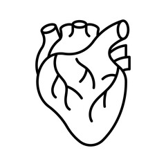 Human heart, line icon. Cardiology, blood pressure, cardiovascular system, aorta, life symbol. Linear illustration, editable stroke, thin line