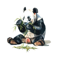 Naklejka premium Watercolor illustration of panda eating bamboo grass on white background