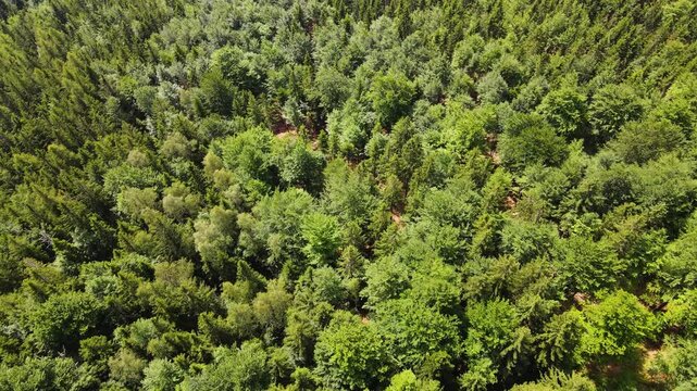 Summer Saastal Saas-Fee Switzerland aerial photography drone mountain larch forest coniferous top clouds Swiss Alps mountain peaks valley drone movement