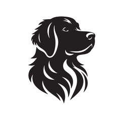 black and white dog