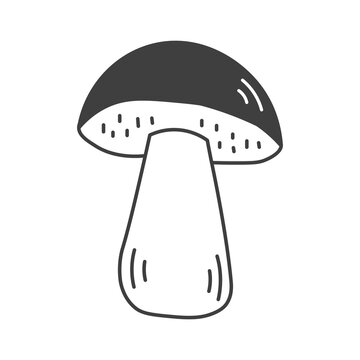 recommend clip art: Capercaillie Cep Mushroom Doodle Line Icon. Hand drawn forest fungus symbol. Sketch food ingredient. Outline vector illustration.