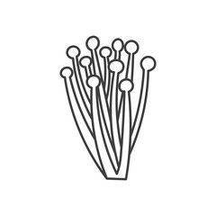 Enokitake Mushroom Doodle Line Icon. Hand drawn Asian food ingredient. Japanese Chinese cuisine fungus. Outline vector illustration.