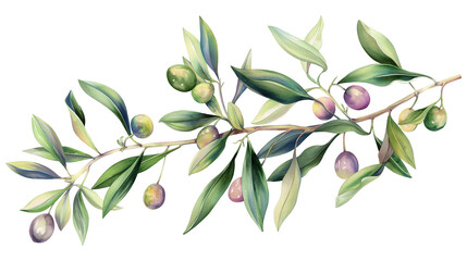 A watercolor painting of a branch with green leaves and purple fruit