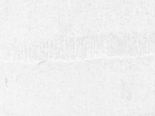 White natural texture of palm tree bark, blank white wood pattern background