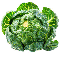 Fototapeta premium Detailed cutout of a A single Brussels sprout isolated 