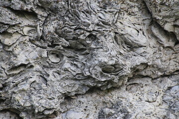 ほたて化石群（北海道・猿払村）