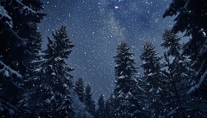 Naklejka premium Winter Forest with Snow, Sky, Stars at Night