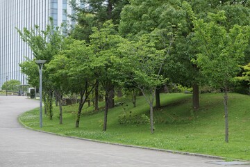 青海付近のパス