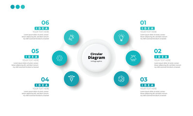 Modern minimalist elegant clean circular steps editable infographic design template vector 