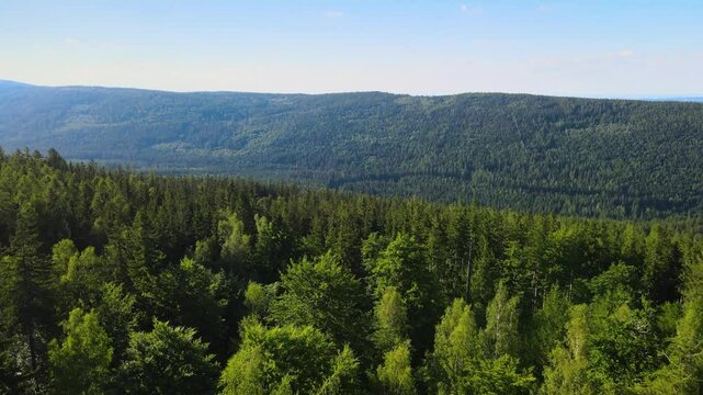 Summer Saastal Saas-Fee Switzerland aerial photography drone mountain larch forest coniferous top clouds Swiss Alps mountain peaks valley drone movement