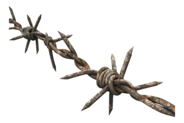 Barbed wire isolated on transparent background