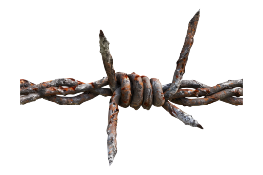 Barbed wire isolated on transparent background