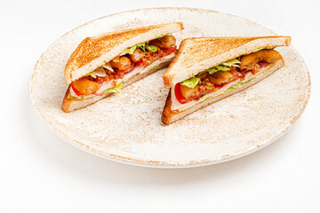 sandwch on the grey plate