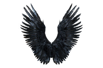 Obraz premium Black wings isolated on transparent background